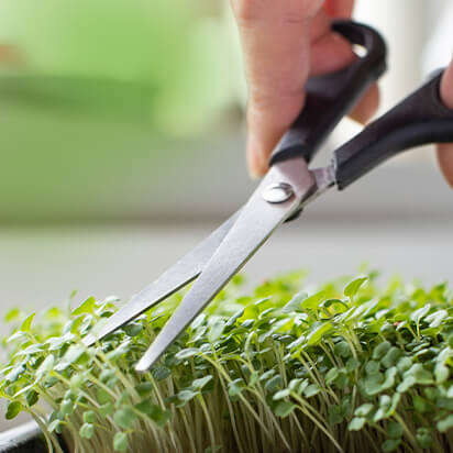 kuechenutensilien bubblenavibild